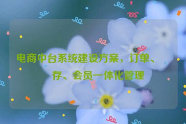 電商中臺系統(tǒng)建設(shè)方案，訂單、庫存、會員一體化管理