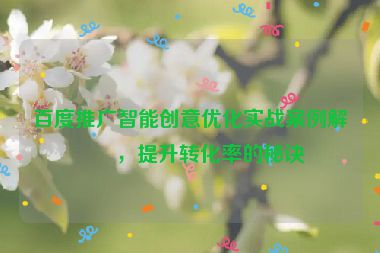 百度推廣智能創(chuàng)意優(yōu)化實(shí)戰(zhàn)案例解析，提升轉(zhuǎn)化率的秘訣