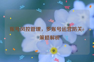 賬號風控管理，多賬號運營防關聯(lián)策略解析