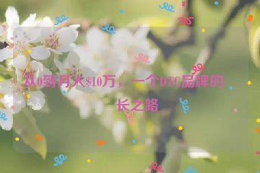 從0到月入$10萬(wàn)，一個(gè)DTC品牌的成長(zhǎng)之路