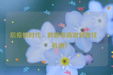后疫情時(shí)代，跨境電商如何抓住新機(jī)遇？