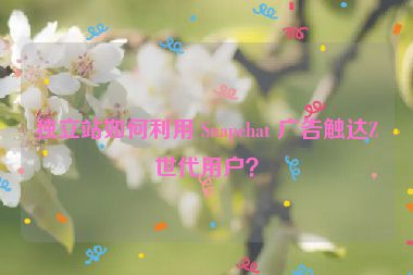 獨立站如何利用 Snapchat 廣告觸達Z世代用戶？