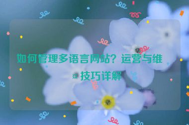 如何管理多語(yǔ)言網(wǎng)站？運(yùn)營(yíng)與維護(hù)技巧詳解