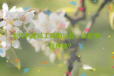 無(wú)代碼建站工具的興起，誰(shuí)還需要程序員？