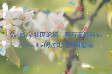 WordPress 社區(qū)論壇，官方支持與Stack Overflow的對(duì)比與使用指南