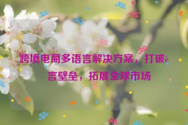 跨境電商多語言解決方案，打破語言壁壘，拓展全球市場(chǎng)