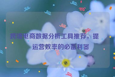 跨境電商數(shù)據(jù)分析工具推薦，提升運(yùn)營(yíng)效率的必備利器
