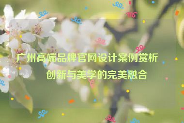 廣州高端品牌官網(wǎng)設(shè)計(jì)案例賞析，創(chuàng)新與美學(xué)的完美融合