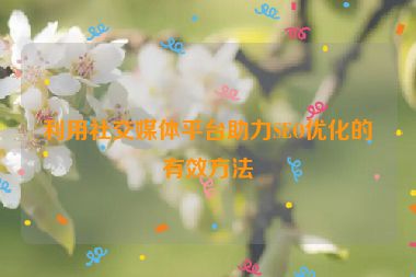 利用社交媒體平臺(tái)助力SEO優(yōu)化的有效方法