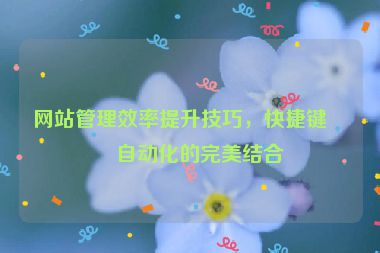 網(wǎng)站管理效率提升技巧，快捷鍵與自動(dòng)化的完美結(jié)合