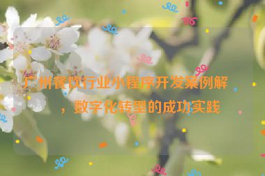 廣州餐飲行業(yè)小程序開發(fā)案例解析，數(shù)字化轉(zhuǎn)型的成功實踐