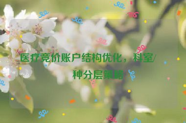 醫(yī)療競價賬戶結(jié)構(gòu)優(yōu)化，科室/病種分層策略
