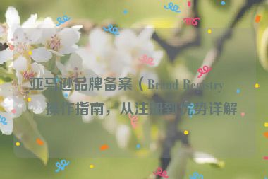 亞馬遜品牌備案（Brand Registry）操作指南，從注冊到優(yōu)勢詳解