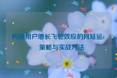 構(gòu)建用戶增長飛輪效應的網(wǎng)站運營策略與實戰(zhàn)方法