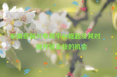 東南亞新興電商平臺(tái)崛起及其對(duì)中國(guó)外貿(mào)企業(yè)的機(jī)會(huì)