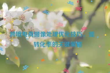 跨境電商圖像處理優(yōu)化技巧，提升轉(zhuǎn)化率的關(guān)鍵策略