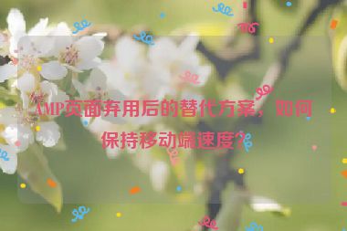 AMP頁(yè)面棄用后的替代方案，如何保持移動(dòng)端速度？