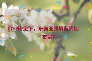 RCEP協(xié)定下，東南亞跨境藍(lán)海如何布局？