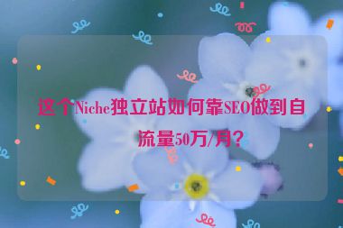 這個(gè)Niche獨(dú)立站如何靠SEO做到自然流量50萬(wàn)/月？