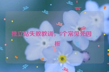 獨(dú)立站失敗教訓(xùn)，5個(gè)常見死因分析