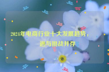 2024年電商行業(yè)十大發(fā)展趨勢，機(jī)遇與挑戰(zhàn)并存