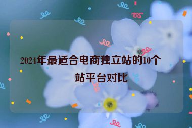 2024年最適合電商獨(dú)立站的10個(gè)建站平臺(tái)對(duì)比