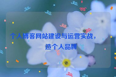 個人博客網(wǎng)站建設(shè)與運營實戰(zhàn)，打造個人品牌