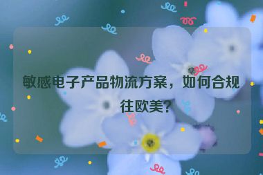 敏感電子產(chǎn)品物流方案，如何合規(guī)發(fā)往歐美？
