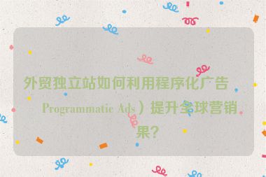 外貿獨立站如何利用程序化廣告（Programmatic Ads）提升全球營銷效果？