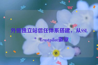 外貿(mào)獨立站信任體系搭建，從SSL到Trustpilot徽章