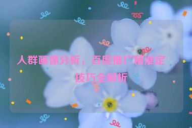人群畫像分析，百度推廣精準(zhǔn)定向技巧全解析