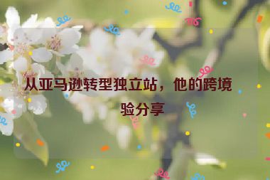 從亞馬遜轉(zhuǎn)型獨(dú)立站，他的跨境經(jīng)驗(yàn)分享