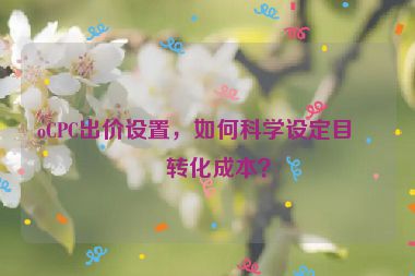 oCPC出價(jià)設(shè)置，如何科學(xué)設(shè)定目標(biāo)轉(zhuǎn)化成本？