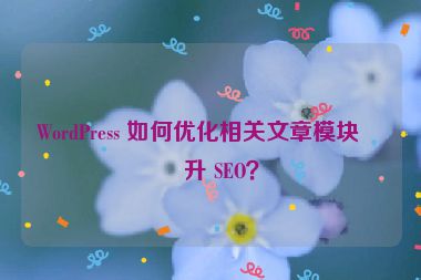 WordPress 如何優(yōu)化相關(guān)文章模塊提升 SEO？