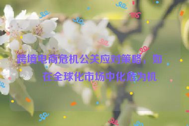 跨境電商危機(jī)公關(guān)應(yīng)對(duì)策略，如何在全球化市場(chǎng)中化危為機(jī)