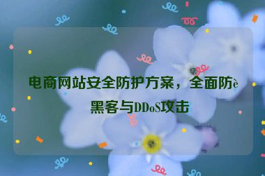 電商網(wǎng)站安全防護(hù)方案，全面防范黑客與DDoS攻擊