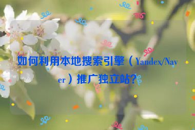 如何利用本地搜索引擎（Yandex/Naver）推廣獨(dú)立站？