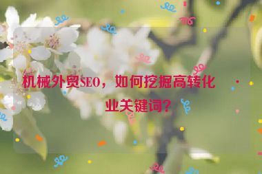 機(jī)械外貿(mào)SEO，如何挖掘高轉(zhuǎn)化工業(yè)關(guān)鍵詞？
