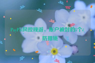PayPal風控規(guī)避，賬戶被封的5個預防措施