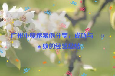 廣州小程序案例分享，成功與失敗的經(jīng)驗總結(jié)