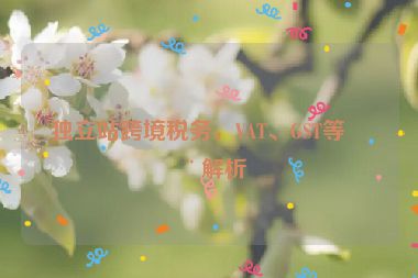 獨(dú)立站跨境稅務(wù)，VAT、GST等全解析