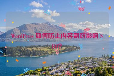 WordPress 如何防止內(nèi)容剽竊影響 SEO？