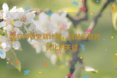 建立內(nèi)容更新計劃，網(wǎng)站運(yùn)營持續(xù)優(yōu)化的關(guān)鍵