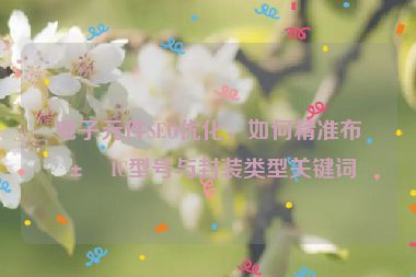 電子元件SEO優(yōu)化，如何精準布局IC型號與封裝類型關(guān)鍵詞