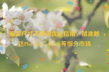 服裝尺寸關(guān)鍵詞優(yōu)化指南，精準(zhǔn)觸達(dá)Plus Size、Petite等細(xì)分市場