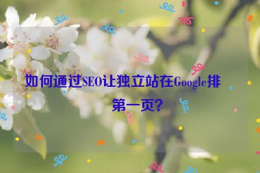 如何通過(guò)SEO讓獨(dú)立站在Google排名第一頁(yè)？