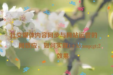 社交媒體內(nèi)容同步與網(wǎng)站運營的協(xié)同效應(yīng)，如何實現(xiàn)1+1&gt;2的效果