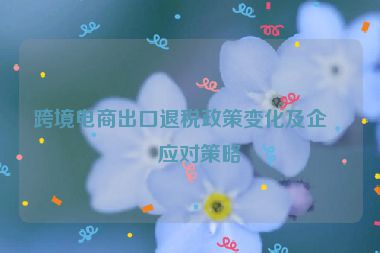 跨境電商出口退稅政策變化及企業(yè)應(yīng)對(duì)策略