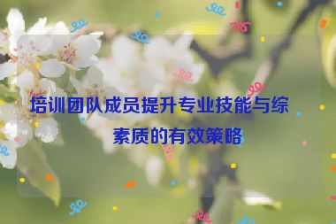 培訓(xùn)團(tuán)隊(duì)成員提升專業(yè)技能與綜合素質(zhì)的有效策略