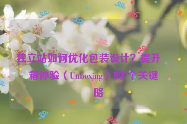 獨(dú)立站如何優(yōu)化包裝設(shè)計(jì)？提升拆箱體驗(yàn)（Unboxing）的7個(gè)關(guān)鍵策略